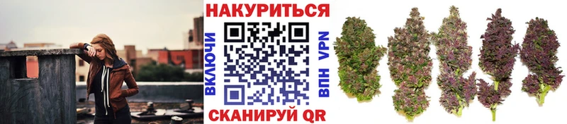Где купить Рыльск Марихуана  Кодеин  Кокаин  ГАШ  Меф  А ПВП 