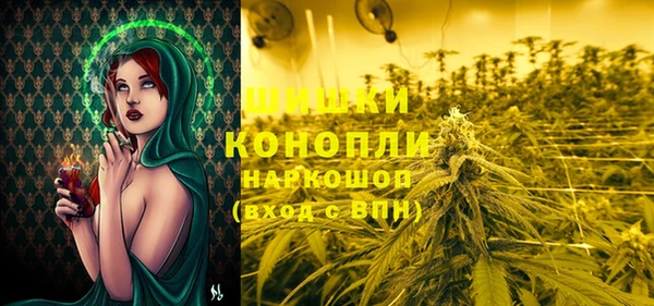 эйфоретик Надым