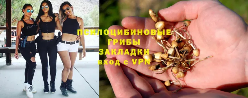 Псилоцибиновые грибы Magic Shrooms  Рыльск 